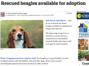 nj.com beagles